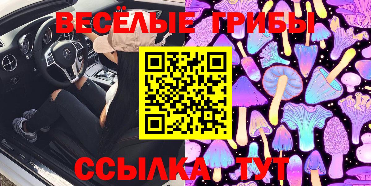 Гурьевск  Галлюциногенные грибы MAGIC MUSHROOMS  Вход с VPN 